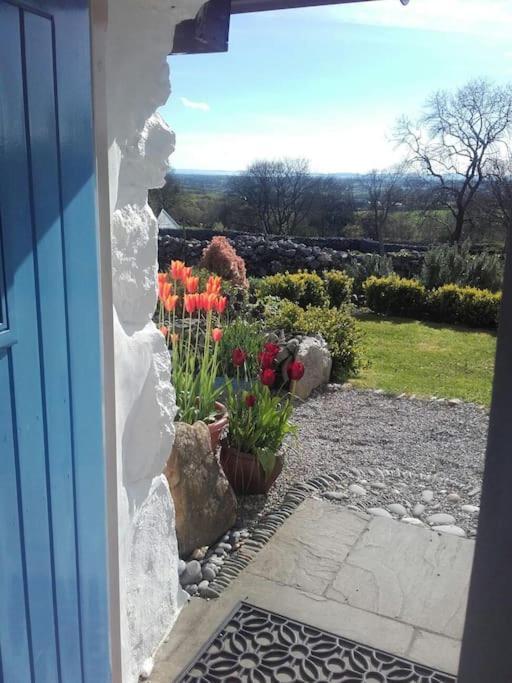 Traditional Stone Cottage With Sea Views In Snowdonia National Park Brynkir Kültér fotó